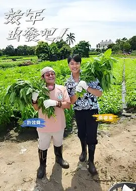 综艺海报